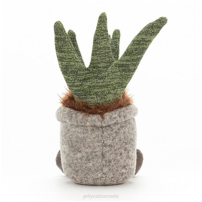 Jellycat Silly Succulent Aloe Multi-colour BV0TH46 Toy
