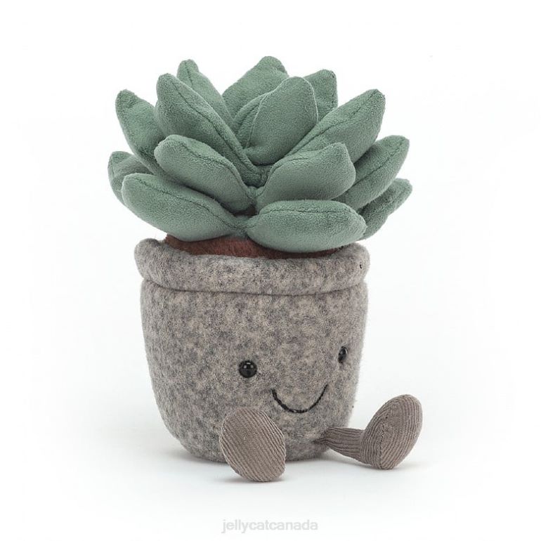 Jellycat Silly Succulent Azulita Multi-colour BV0TH595 Toy