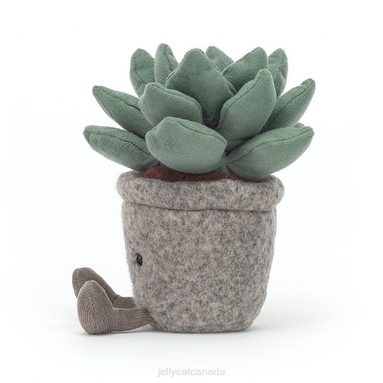 Jellycat Silly Succulent Azulita Multi-colour BV0TH595 Toy
