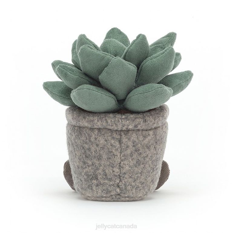 Jellycat Silly Succulent Azulita Multi-colour BV0TH595 Toy