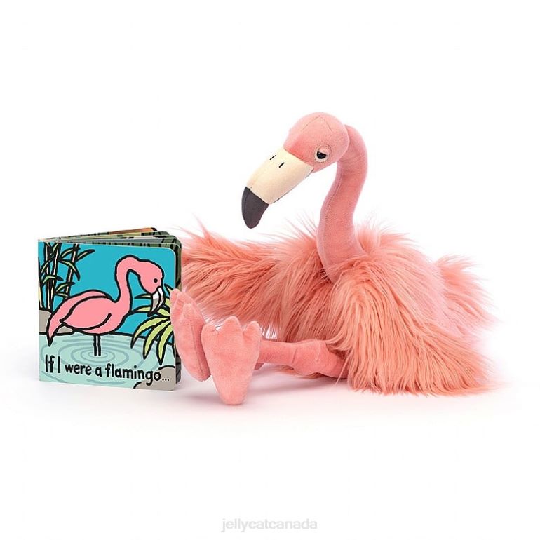 Jellycat If I Were A Flamingo Book and Rosario Flamingo Multi-colour BV0TH797 Book