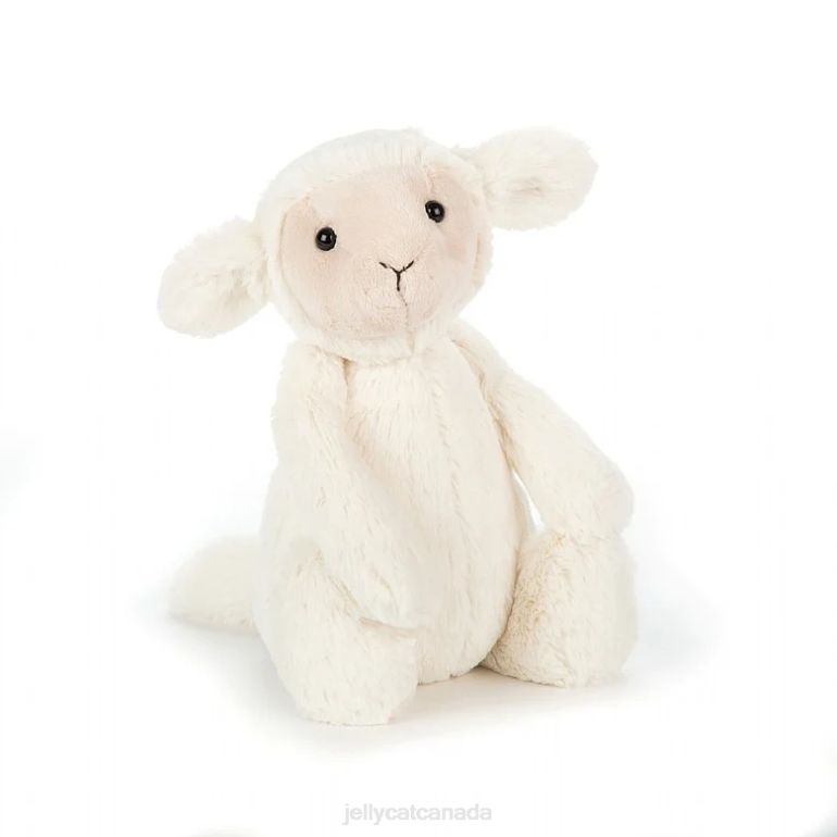 Jellycat If I Were A Lamb Book and Bashful Lamb Cream BV0TH735 Book