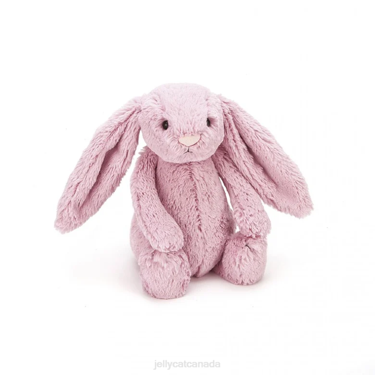 Jellycat If I Were A Rabbit Book and Bashful Tulip Bunny Pink BV0TH705 Book