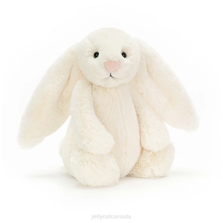 Jellycat Lapin Timide Veut Grandir & Bashful Bunny Cream BV0TH727 Book
