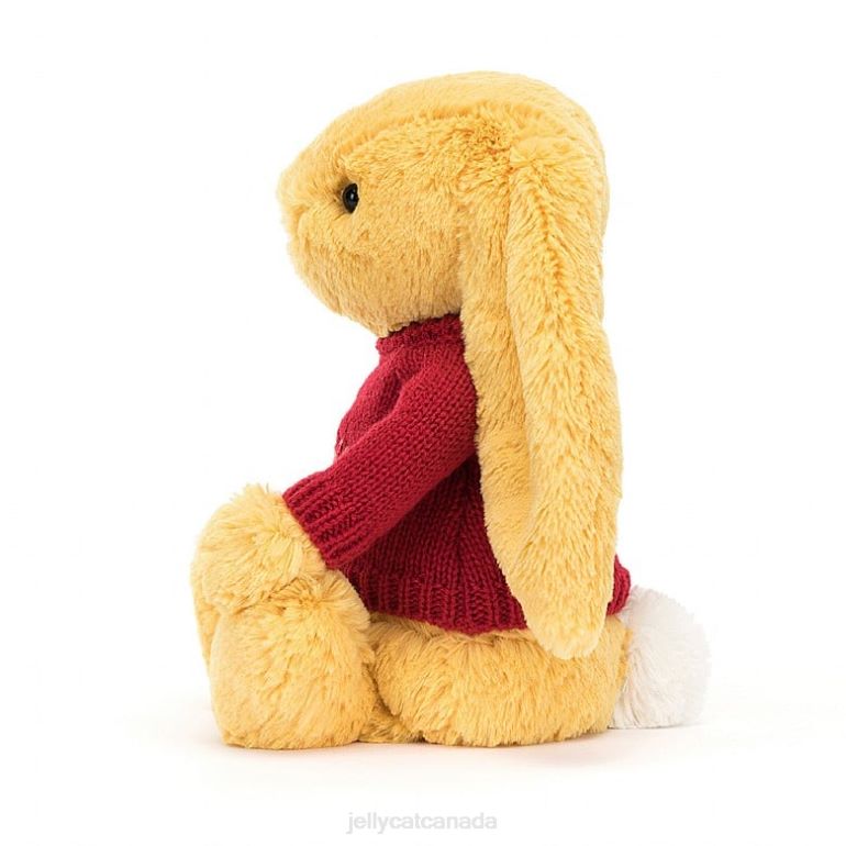 Jellycat Bashful Bunny with Personalised Red Jumper Sunshine BV0TH332 Toy
