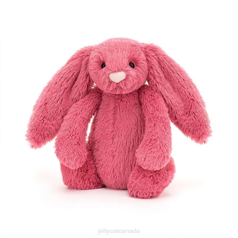 Jellycat Bashful Cerise Bunny Rose BV0TH496 Toy