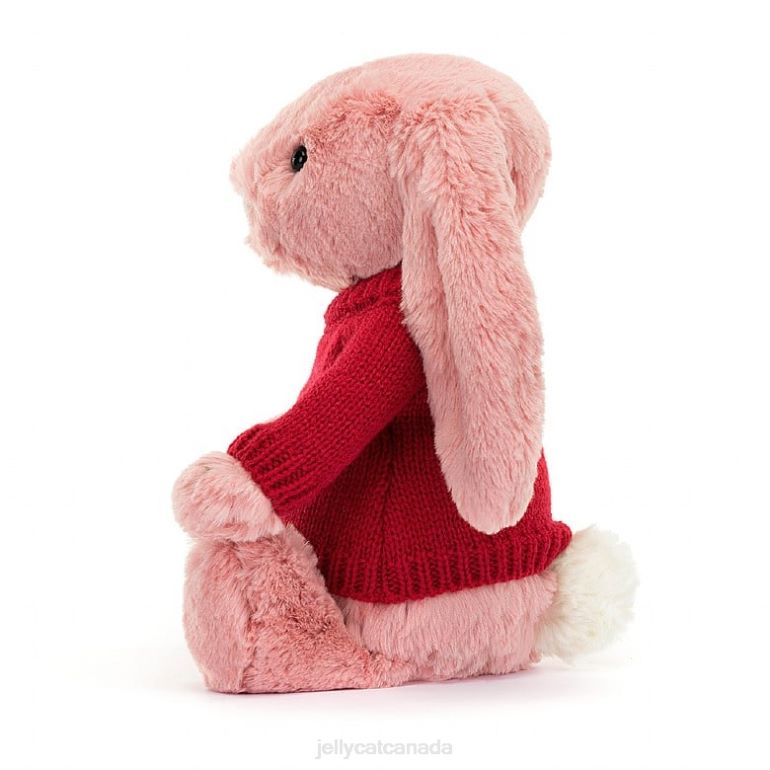 Jellycat Bashful Petal Bunny with Personalised Red Jumper Sorbet Pink BV0TH299 Toy