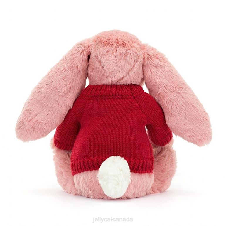 Jellycat Bashful Petal Bunny with Personalised Red Jumper Sorbet Pink BV0TH299 Toy