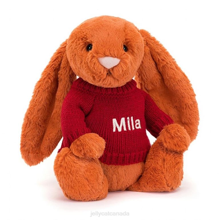 Jellycat Bashful Tangerine Bunny with Personalised Red Jumper Orange BV0TH509 Toy