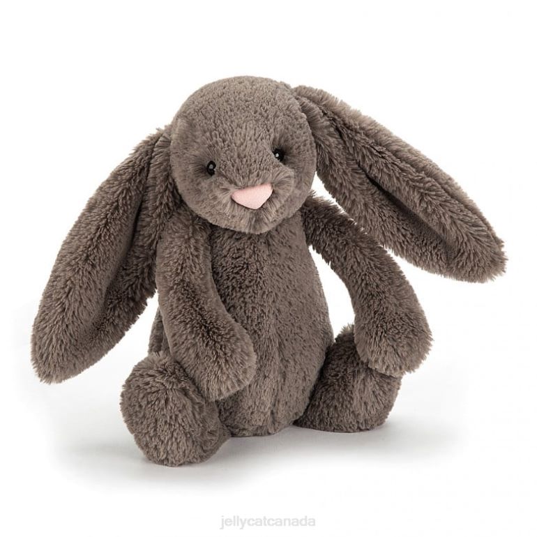 Jellycat Bashful Truffle Bunny Brown BV0TH124 Toy