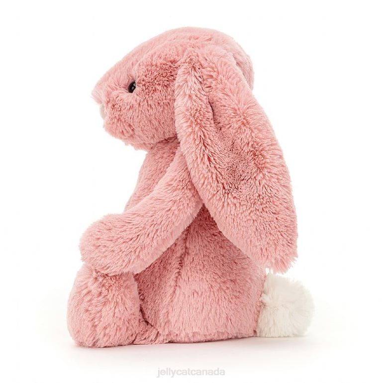 Jellycat Bashful Truffle Bunny Brown BV0TH124 Toy