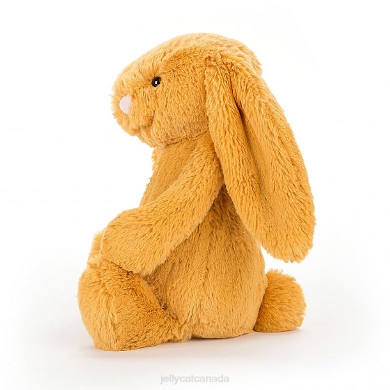 Jellycat Bashful Truffle Bunny Brown BV0TH124 Toy
