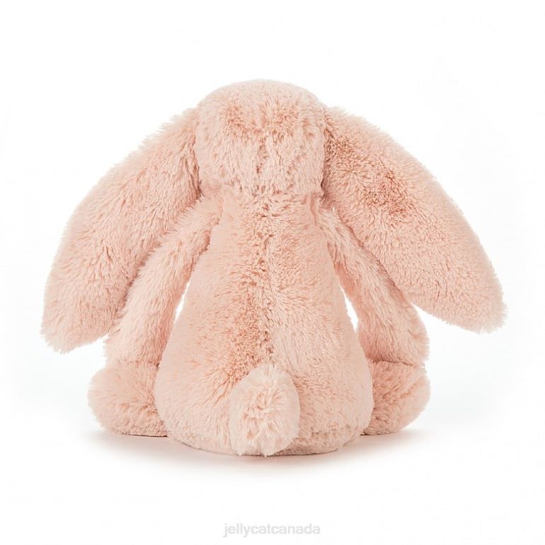 Jellycat Bashful Truffle Bunny Brown BV0TH124 Toy