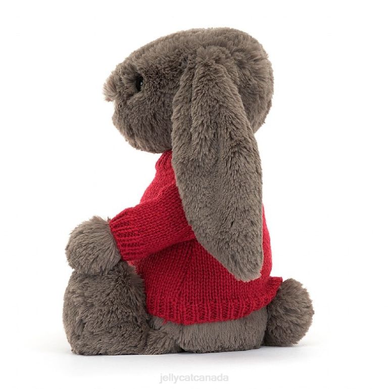 Jellycat Bashful Truffle Bunny with Personalised Red Jumper Brown BV0TH270 Toy