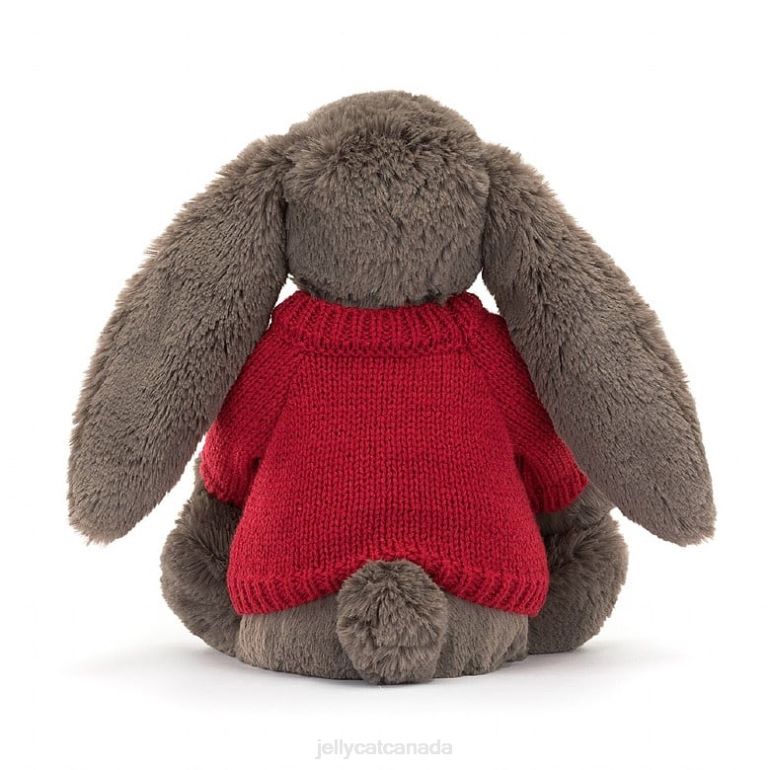 Jellycat Bashful Truffle Bunny with Personalised Red Jumper Brown BV0TH270 Toy