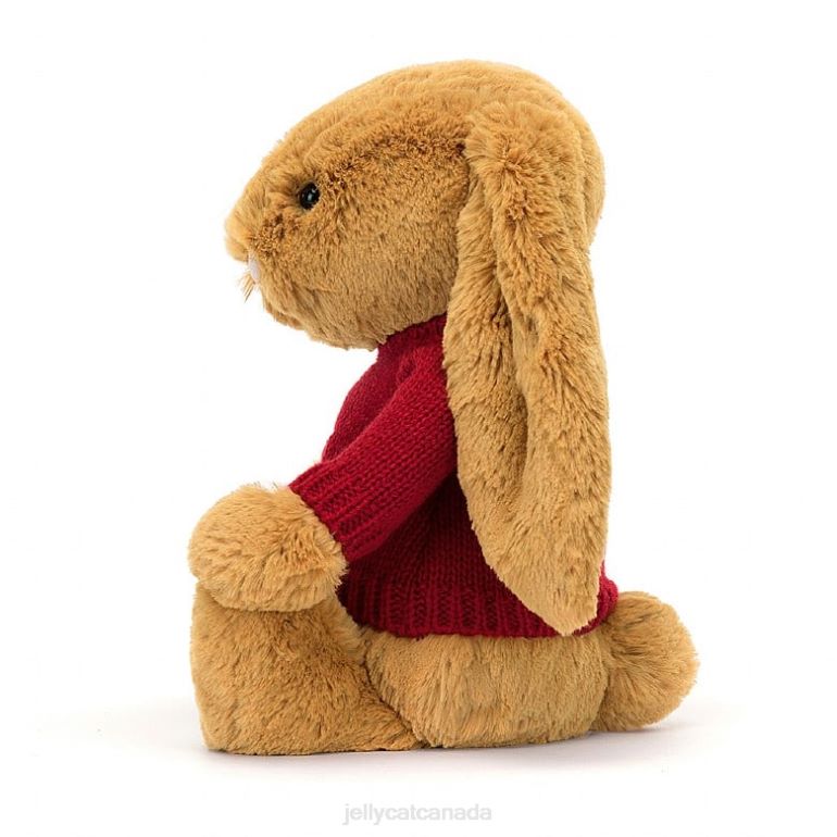 Jellycat Bashful en Bunny with Personalised Red Jumper Gold BV0TH333 Toy