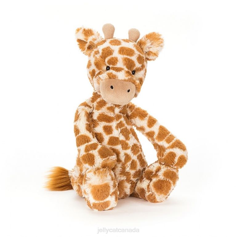Jellycat Bashful Giraffe Orange BV0TH183 Toy