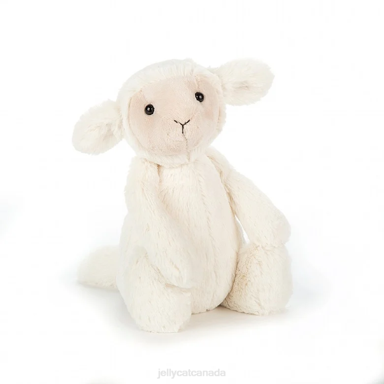 Jellycat Bashful Lamb Cream BV0TH586 Toy
