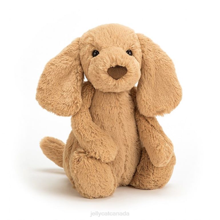 Jellycat Bashful Toffee Puppy Beige BV0TH417 Toy