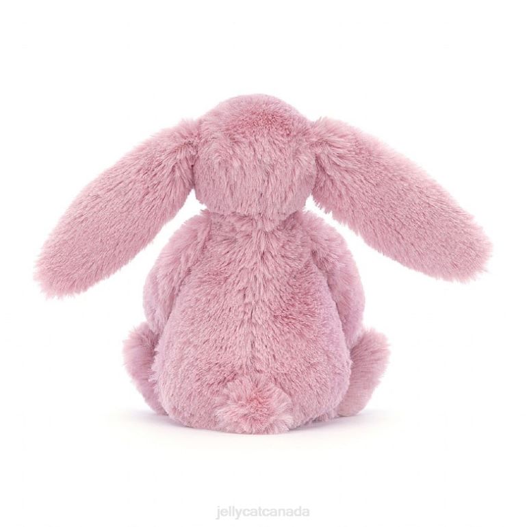 Jellycat Blossom Heart Blush Bunny Peach BV0TH337 Toy