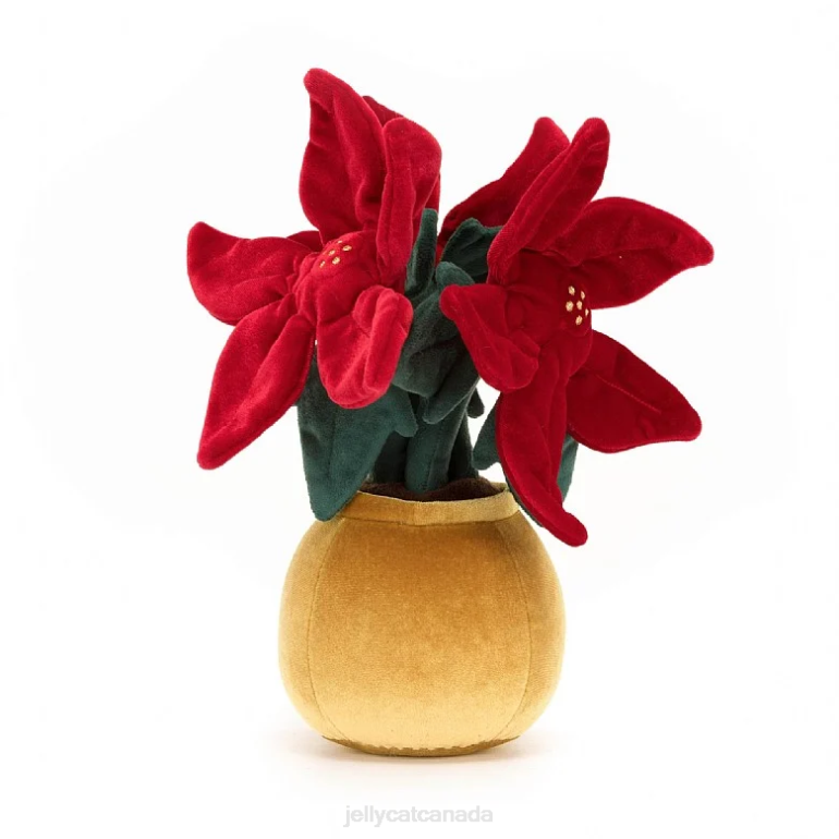 Jellycat Amuseable Poinsettia Multi-colour BV0TH209 Toy