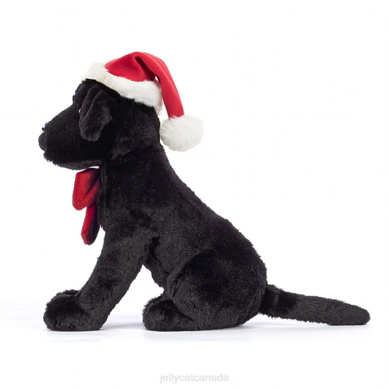 Jellycat Winter Warmer Pippa Labrador Black BV0TH151 Toy