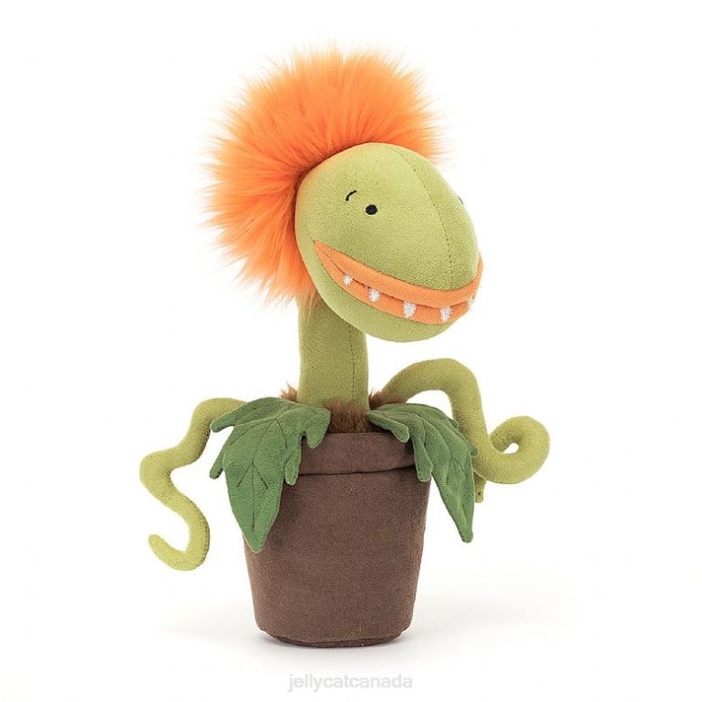 Jellycat Carniflore Tammie Orange BV0TH406 Toy