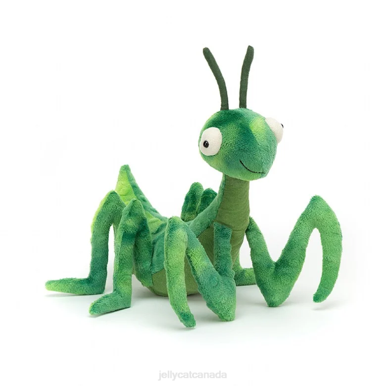 Jellycat Penny Praying Mantis Green BV0TH292 Toy