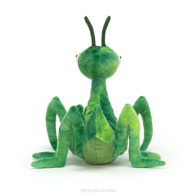 Jellycat Penny Praying Mantis Green BV0TH292 Toy