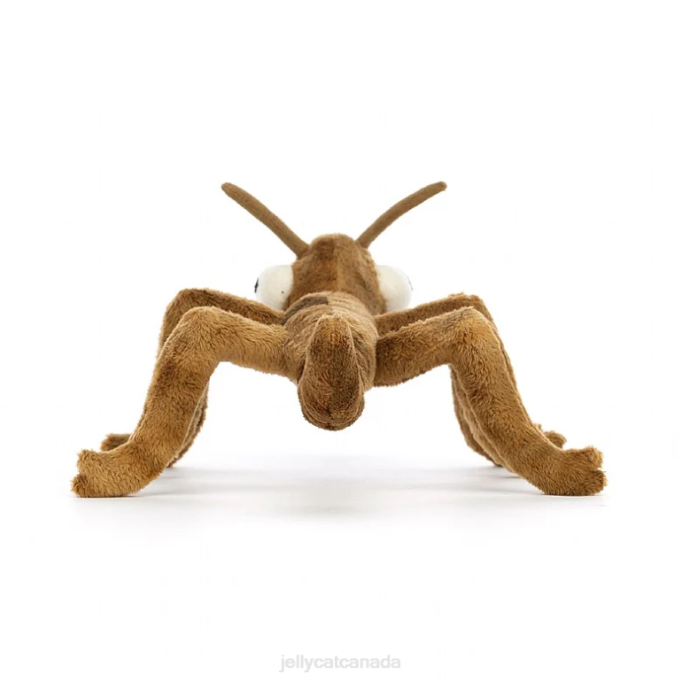 Jellycat Stanley Stick Insect Brown BV0TH370 Toy
