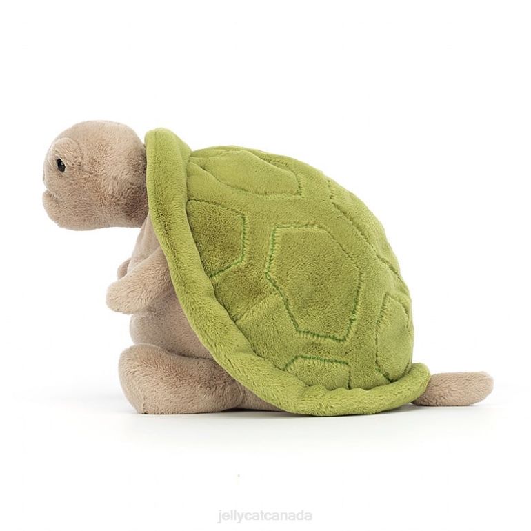 Jellycat Timmy Turtle Beige BV0TH16 Toy