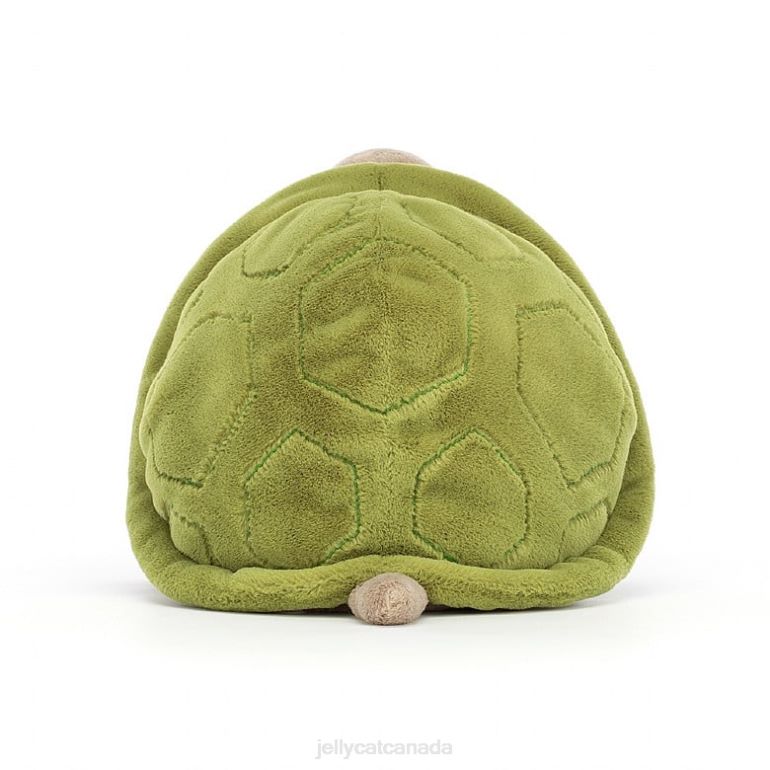 Jellycat Timmy Turtle Beige BV0TH16 Toy