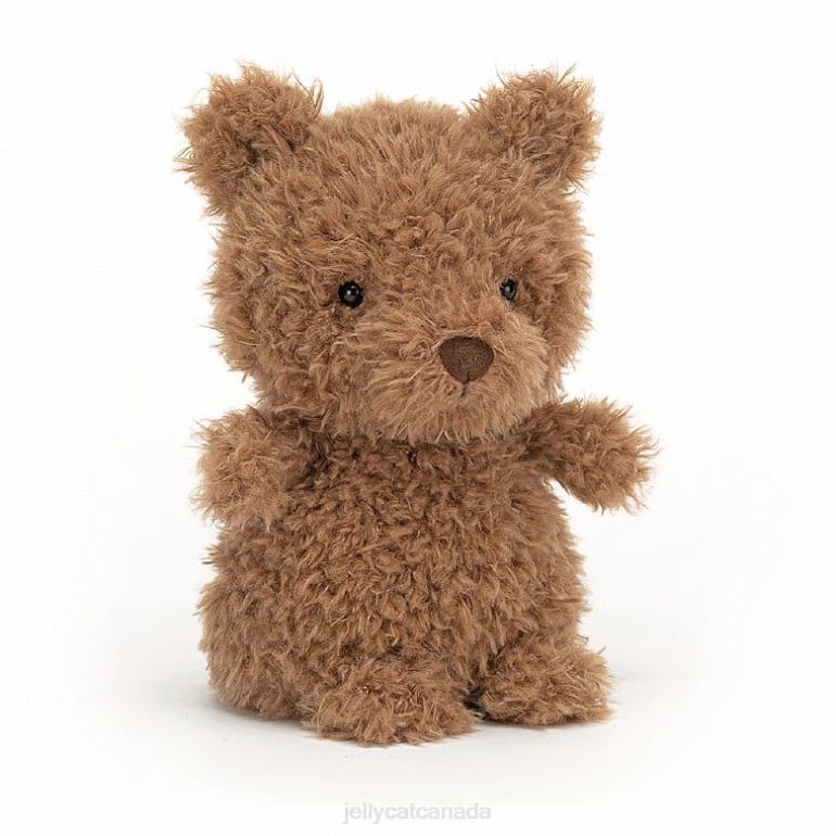 Jellycat Little Bear Brown BV0TH559 Toy