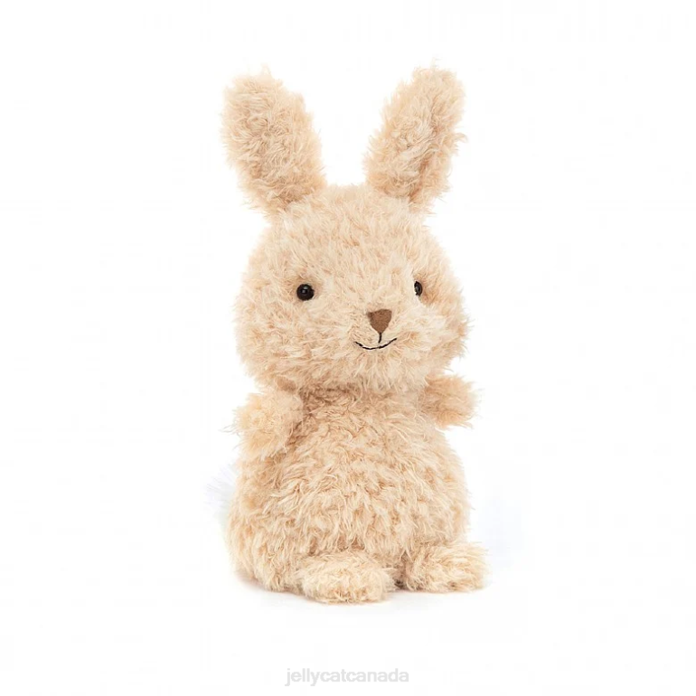 Jellycat Little Bunny Honey BV0TH635 Toy