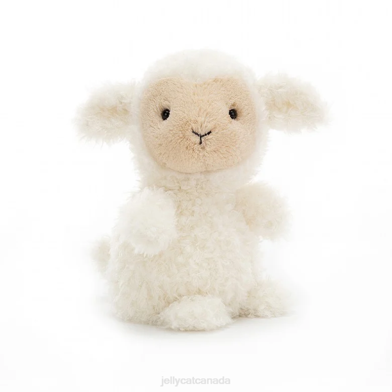 Jellycat Little Lamb Cream BV0TH637 Toy