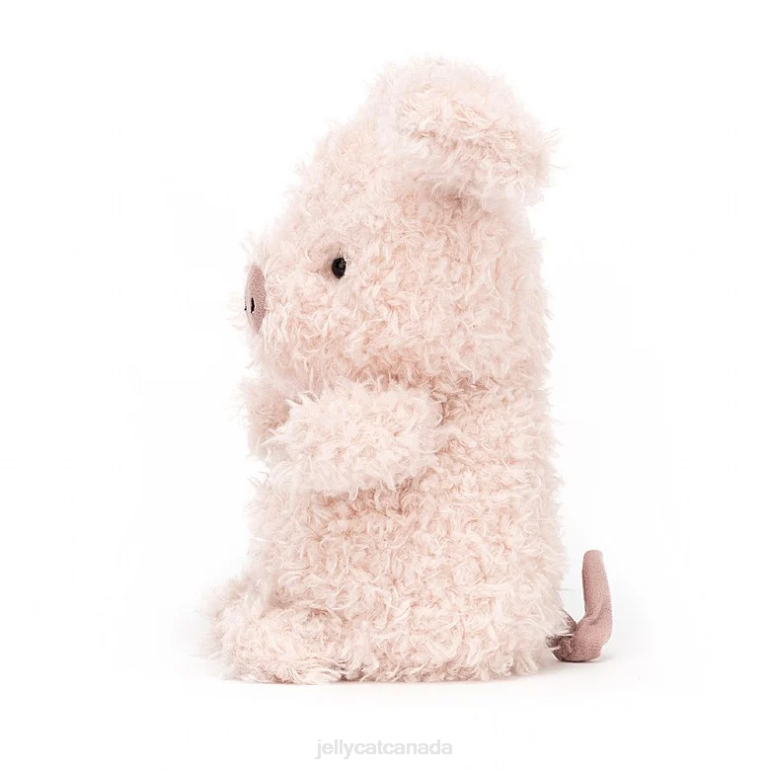 Jellycat Little Lamb Cream BV0TH637 Toy