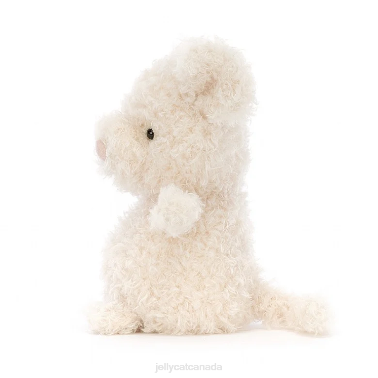 Jellycat Little Mouse Cream BV0TH141 Toy
