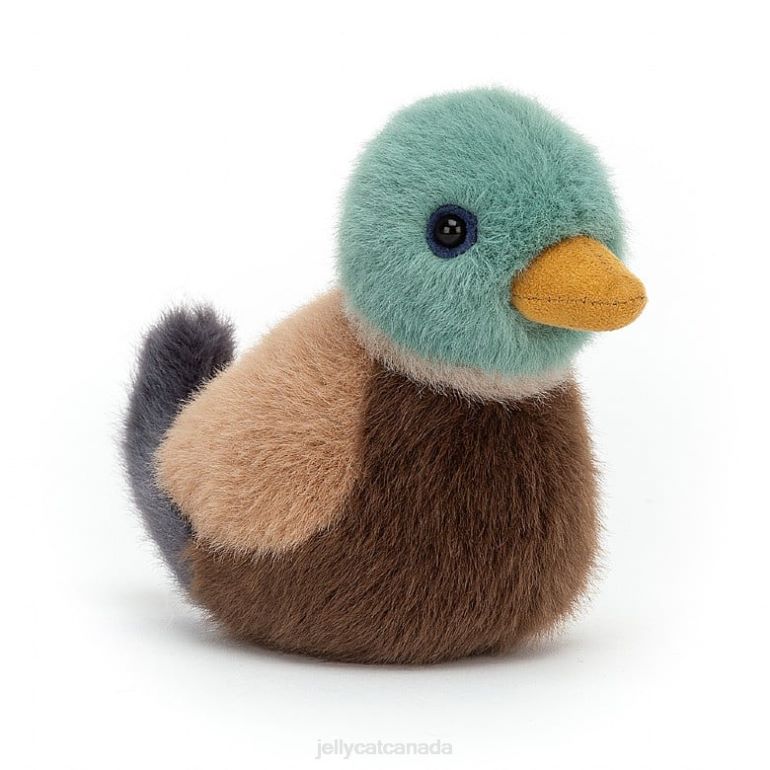 Jellycat Birdling Mallard Multi-colour BV0TH45 Toy