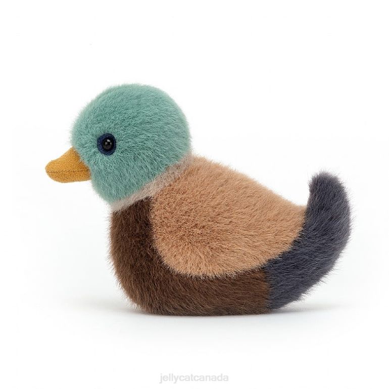 Jellycat Birdling Mallard Multi-colour BV0TH45 Toy