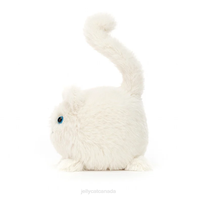 Jellycat Kitten Caboodle Cream BV0TH633 Toy
