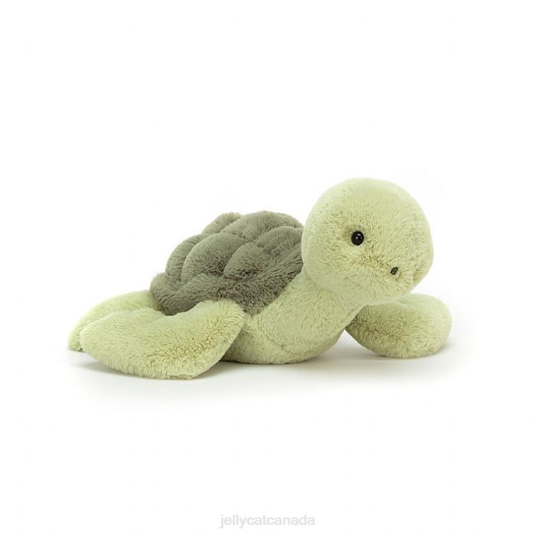 Jellycat Tully Turtle Green BV0TH658 Toy