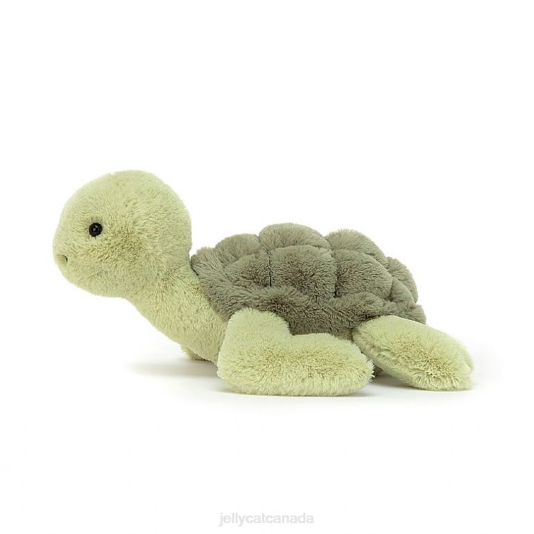 Jellycat Tully Turtle Green BV0TH658 Toy