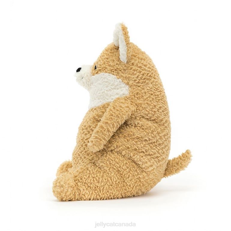 Jellycat Amore Corgi Honey BV0TH287 Toy