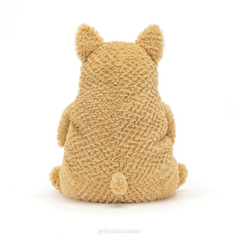 Jellycat Amore Corgi Honey BV0TH287 Toy