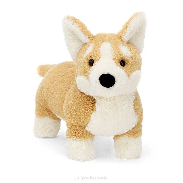 Jellycat Betty Corgi Honey BV0TH66 Toy