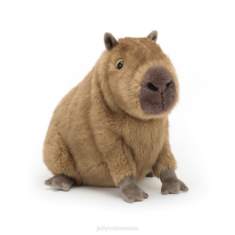 Jellycat Clyde Capybara Brown BV0TH678 Toy