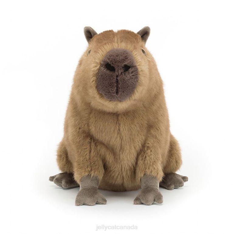 Jellycat Clyde Capybara Brown BV0TH678 Toy