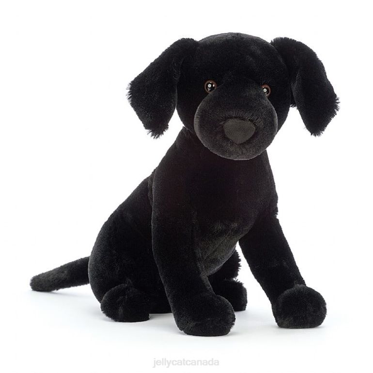 Jellycat Pippa Labrador Black BV0TH125 Toy